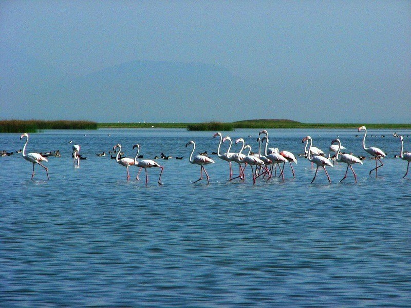 Chilika Lake